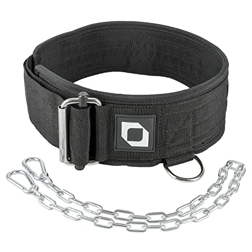 2-in-1 Multi Purpose Weight Lifting Belt & Weighted Dip Belt - Functional Exercise, Strength Training, Powerlifting, Deadlift, Squat, Olympic Lifts - Weighted Dips, Chin-ups, Pull-ups 100% Nylon - color: Black, size: Large