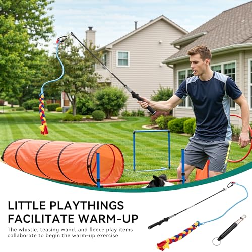 YITAHOME Dog Agility Training Equipment Set with Flexible Tunnel, Hurdle, Jump Ring, 6 Weave Poles, Pause Platform, Teaser Pole and Carry Bags for Indoors Outdoors, Orange/Blue