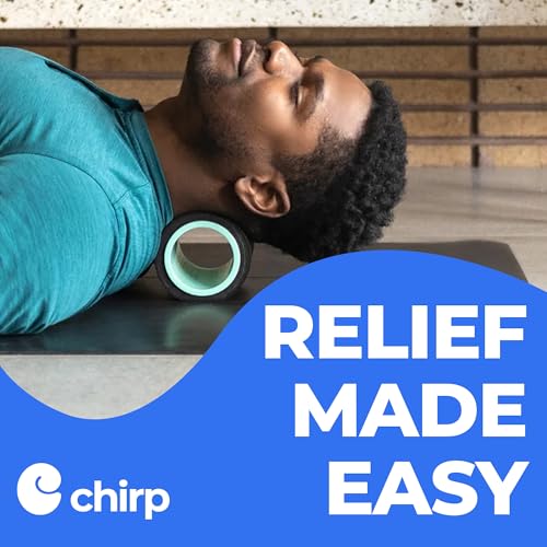 Chirp Wheel Foam Roller – Targeted Back & Neck Relief, Lumbar Spine Stretcher, Spinal Decompression Back Stretcher, Massage Roller with Density Foam for Physical Therapy, Supports 500lbs, 4-Inch Mint