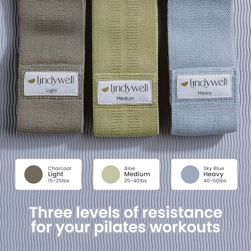 Lindywell Ultimate Exercise Bands for Men & Women, Toned Glutes, Strength - style: Fabric Band Set