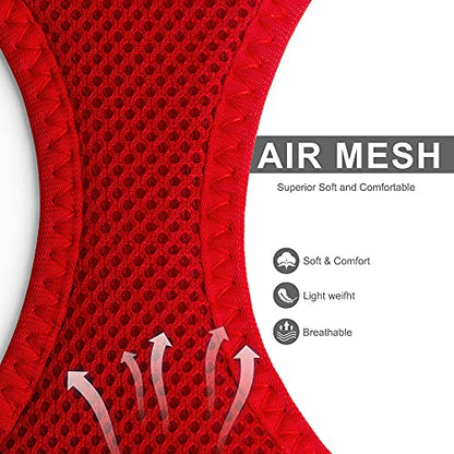 Fida Comfy Dog Harness with Leash, Soft Puppy Vest Escape Proof, Breathable Lightweight Soft Mesh, Adjustable Reflective Step-in Harness for Small Pet Walking (S, Red) - color: Fiery Red, size: S (Neck:12.6"-13.8"; Girth:16.1"-17.7")