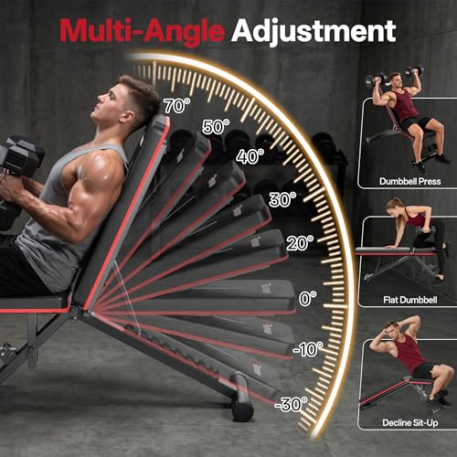 PASYOU Adjustable Weight Bench, 660LB Capacity Foldable Workout Bench, Incline Flat Bench Press for Home Gym, Dual-Frame Strength Training Bench, No Assembly Required, Wider Seat