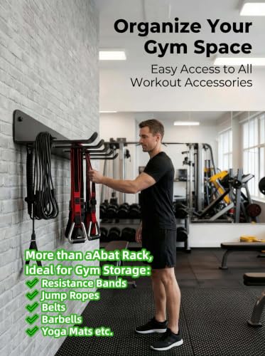 3MM Steel Baseball Bat Rack Wall Mount, 9-Prong Gym Storage Holder