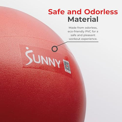 Sunny Health & Fitness Premium Anti-Burst Exercise Balls for Core Strength, Yoga, Pilates, Barre, Physical Therapy, Balance, Flexibility Non-Slip & Odorless