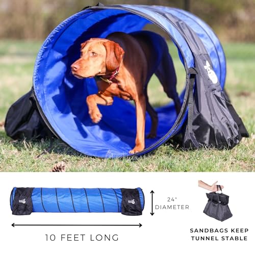 3 Piece Essential Dog Agility Equipment Set | Agility Jump | Tire Jump | 10’ Tunnel with Sandbags