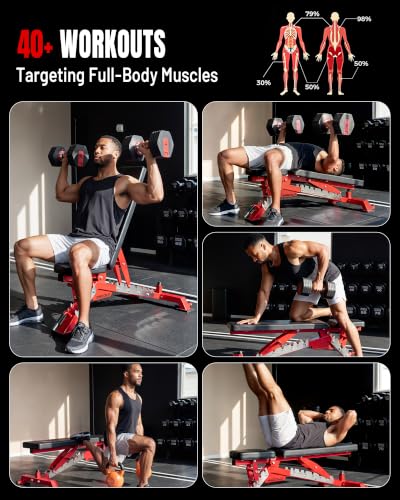 Mikolo Weight Bench - 1300 Weight Capacity and 40 Adjustable Positions for Full Body Workouts, Incline, Decline and Flat Setting for Garage and Home Gym