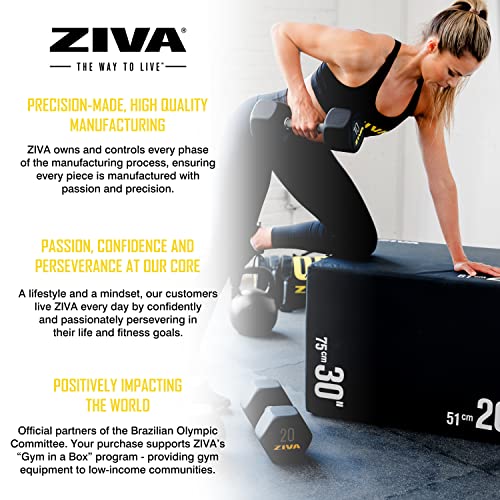 ZIVA Premium Hex Dumbbells – Commercial Grade Rubber Urethane Coated Free Weights for Strength Training, Weightlifting, Home Gym – Durable Steel Core – Sold in Pairs and Sets - style: j) 25lb BK