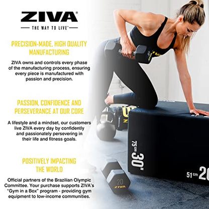 ZIVA Premium Hex Dumbbells – Commercial Grade Rubber Urethane Coated Free Weights for Strength Training, Weightlifting, Home Gym – Durable Steel Core – Sold in Pairs and Sets - style: j) 25lb BK