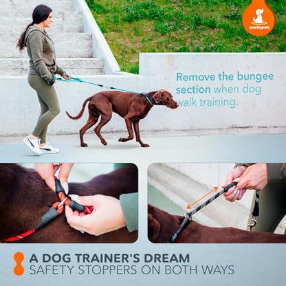 Bungee Rope Handsfree Leash for 1 Dog - Demovable Slip Lead - Waist or Hip Belt Leash for Dog Walking, Running, Carnicross - Medium & Large Breeds - color: Black