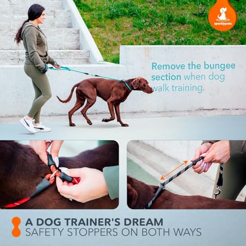 Bungee Rope Handsfree Leash for 1 Dog - Demovable Slip Lead - Waist or Hip Belt Leash for Dog Walking, Running, Carnicross - Medium & Large Breeds - color: Green