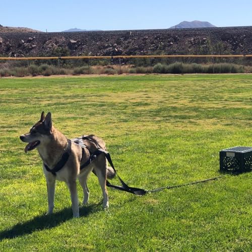 Dog Pulling Harness, Adjustable Nylon Dog Sled Harness for Behaviors Training, Weight Pulling, Canicross, Ski-Joring Sled