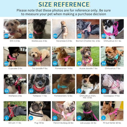 Lukovee No Pull Dog Harness and Leash Set, Soft Padded Small Dog Harness, Neck & Chest Adjustable Reflective Vest Puppy Harness with 4ft Lightweight Anti-Twist Dog Leash for Small Dogs (XS, Fuschia)