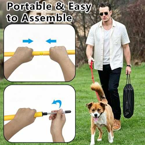 6-Pack Dog Agility Weave Poles with Stakes for Backyard Training - color: SLV-weave 6