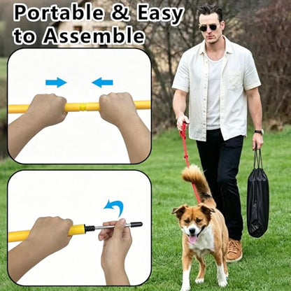 6-Pack Dog Agility Weave Poles with Stakes for Backyard Training - color: SLV-weave 6