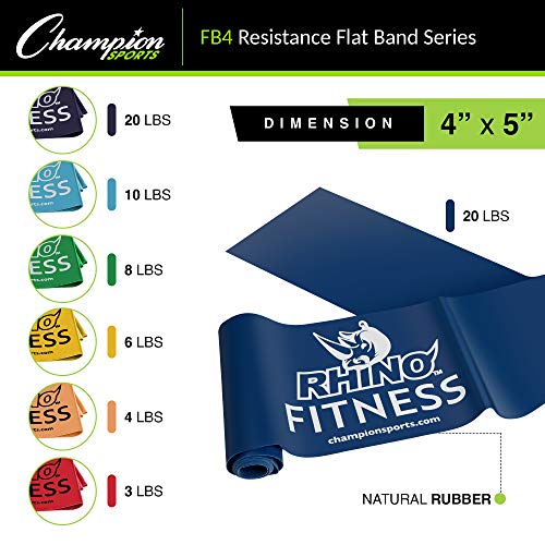 Champion Sports Resistance Therapy Stretch Flat Band