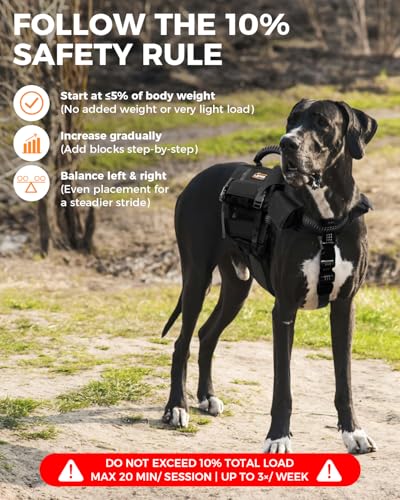 Weighted Dog Vest and Collar Set with 4 Removable 0.88 lb Weight Blocks, No Sand Filling, Training Gear for Medium and Large Dogs, Walking, Conditioning, Muscle Building-XL