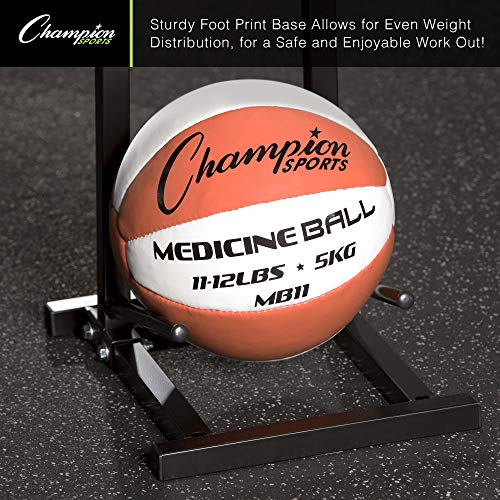 Champion Sports Medicine Ball Storage – Durable Racks & Trees for Organized Gym, Fitness & Sports Storage