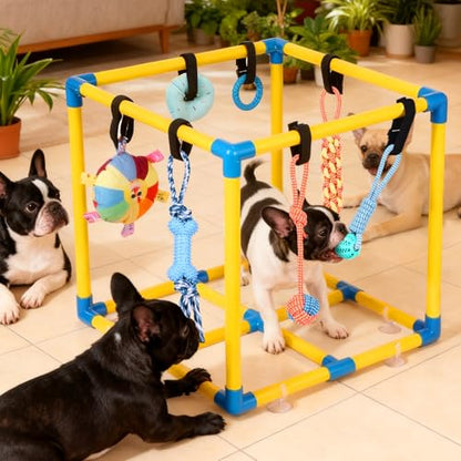 WLLEYAY Puppy Play Gym for Small Dogs 10 Hanging Toys,Interactive Dog Toys | Removable Indoor Jungle Gym,PVC Frame With Adjustable Bungee Straps, Interactive Tug Toys,Dogs Rope Toy To Keep Them Busy - color: Yellow & Blue