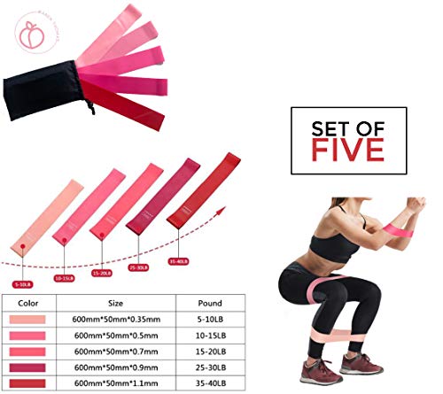 5 Pack Non Slip Resistance Booty Bands with Travel Carry Bag, Barre Exercise FlexBands for Legs and Butt, Home Workout Fitness, Squats, Stretching, Gym, Yoga, Physical Therapy, Pilates for Women