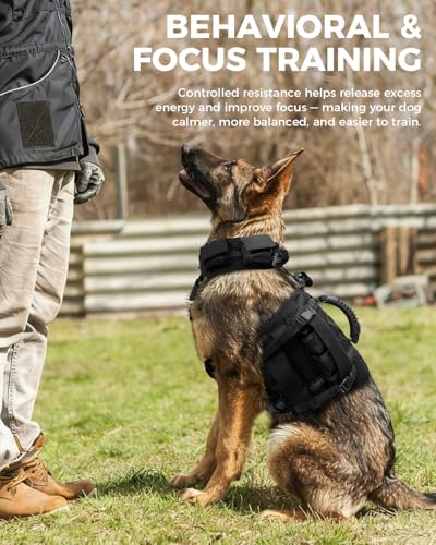 Weighted Dog Vest and Collar Set with 4 Removable 0.88 lb Weight Blocks, No Sand Filling, Training Gear for Medium and Large Dogs, Walking, Conditioning, Muscle Building, L - size: L