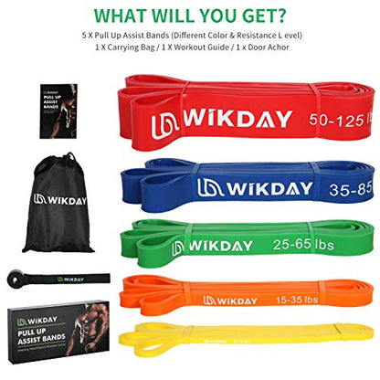 Resistance Bands, Pull Up Bands, Workout Bands for Exercise, Thick Heavy Resistance Band Set with Door Anchor, Elastic Bands for Body Stretching, Training at Home/Gym for Men & Women