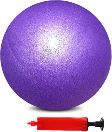 Mini Pilates Exercise Yoga Ball, 6 Inch Small Inflatable Exercise Yoga Ball,Core Training and Physical Therapy Equipment, with Pump - color: Purple, size: 9 inch