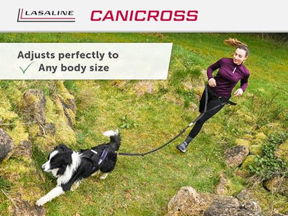 Dog Weight Pulling Harness, XBack for Canicross, Dog Sport, Bike Joring, Ski Joring, Sled Harness, Dog mushing, Dog Running Harness, Black Lightblue