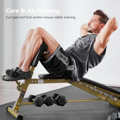 Adjustable Weight Bench with Preacher Curl & Hyper Extension, Roman Chair for Full Body Strength Training