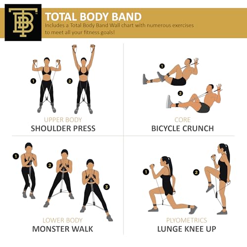 Total Body Band, All-in-one Fitness Band, Full Body Exercise Band for Home Exercise or Training on-The-go, Multi-Purpose use for Strength, core, Pilates & More, Medium - 15 lbs. (Silver)