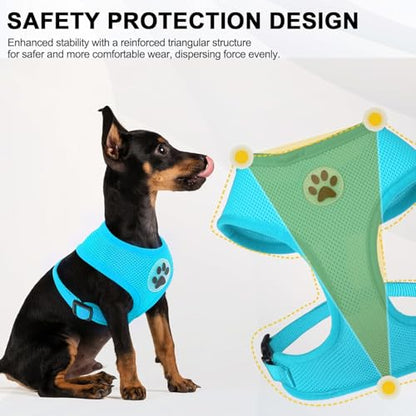 BINGPET Small Dog Harness, No Pull Step-in Puppy Pet Vest, Blue - color: Royal Blue, size: XS (NECK: 10", CHEST: 10"-14")