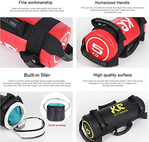 Beacon Pet Fitness Sandbag for Weight Training,Yoga, Workout and Exercise, sandbag Workout with Handles, Heavy Duty, sandbags for Fitness,Home, Gym