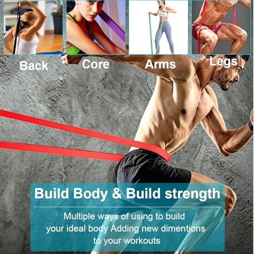 Pull Up Assistance Bands Complete Set,Heavy Duty Adjustable Resistance Bands with Handle Assembly，Latch Mechanism，Perfect for Men Women Seniors for Pull Up Bar,Dip&Resistance Strength Training