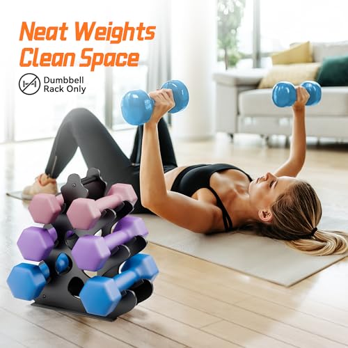 4 Tier Dumbbell Rack, Weight Rack For Home Gym, Dumbbell Stand for Free Weights