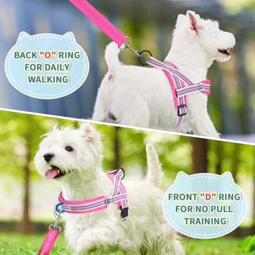 Lukovee No Pull Dog Harness and Leash Set, Soft Padded Small Dog Harness, Neck & Chest Adjustable Reflective Vest Puppy Harness with 4ft Lightweight Anti-Twist Dog Leash for Small Dogs (XS, Fuschia)