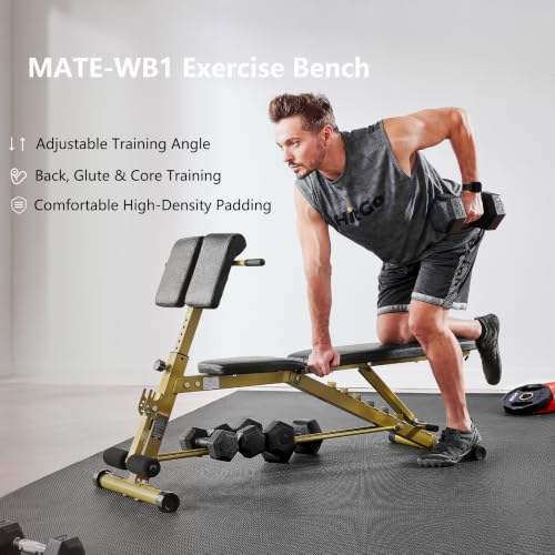 Adjustable Weight Bench with Preacher Curl & Hyper Extension, Roman Chair for Full Body Strength Training