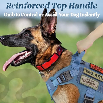 rabbitgoo Tactical Dog Harness X-Large, Heavy Duty Military No Pull Vest - color: Blue, size: X-Large