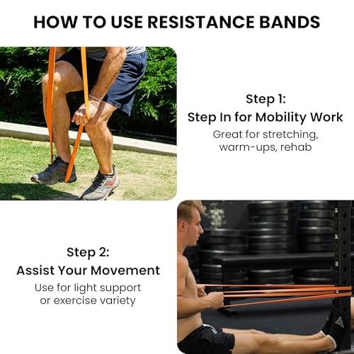 Rubberbanditz Pull Up Assist Resistance Bands Heavy Duty Loop Exercise Workout Bands for Powerlifting, Mobility, and Stretching - color: Orange