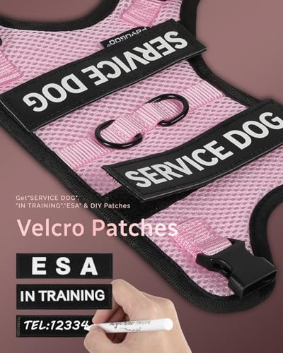 Service Dog Vest for Small Dogs - Air Mesh Breathble Emotional Support Animal Vest with Velcro Patches - Puppy Harness and Leash Set Adjustable Neck and Chest