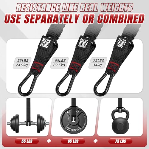 Forearm Strengthener & Wrist Roller, No Weights Needed Forearm Trainer with 3 Adjustable Resistance Bands (55/65/75 lbs), 2-in-1 Handle & Door Anchor for Arm Workout, Grip Strength & Muscle Building