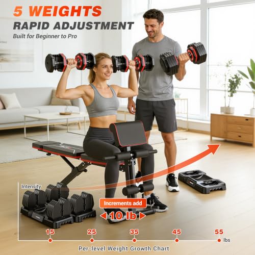 GIKPAL Adjustable Weight Bench - Workout Bench Press for Home Gym - color: Red 5-Gear 55LB Pair