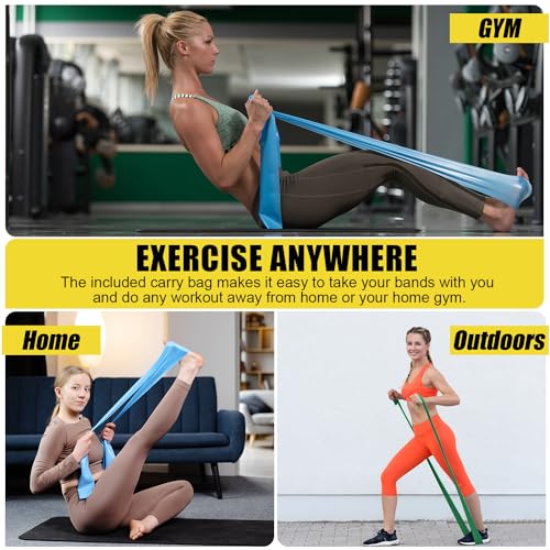 Resistance Exercise Band Kit,4 Pack Resistance Bands for Women or Men,Physiotherapy Recovery Fitness Band for Mobility Strength & Rehab Premium Quality