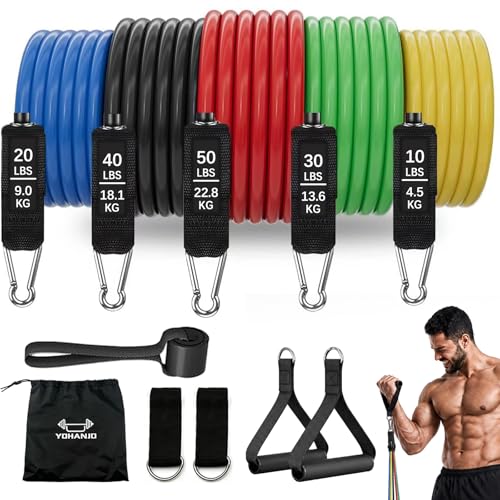 Resistance Bands with Handles, Workout Bands, Exercise Resistance Bands Set for Men & Women, Fitness Bands for Resistance Training, Physical Therapy, Home Workout Set