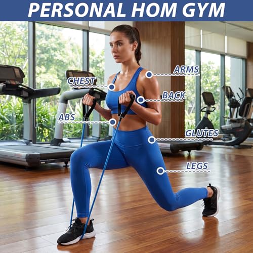 22 Pcs Resistance Bands Set with Handles 10 Exercise Resistance Tubes 10 Flat Straps 2 Door Anchors Latex Home Workout Bands for Full Body Strength Training Men Women