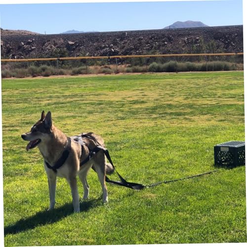 Dog Pulling Harness, Adjustable Nylon Dog Sled Harness for Behaviors Training, Weight Pulling, Canicross, Ski-Joring.