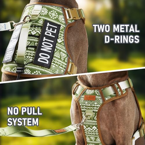No-Pull Dog Harness for Small Dog Breeds, Escapeproof Easy Walking Reflective Adjustable Lightweight Dog Vest with Breathable Oxford Material, Easy on Easy Off with Neck Buckle, Green Ethnic XS