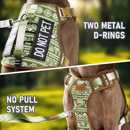 No-Pull Dog Harness for Small Dog Breeds, Escapeproof Easy Walking Reflective Adjustable Lightweight Dog Vest with Breathable Oxford Material, Easy on Easy Off with Neck Buckle, Green Ethnic XS