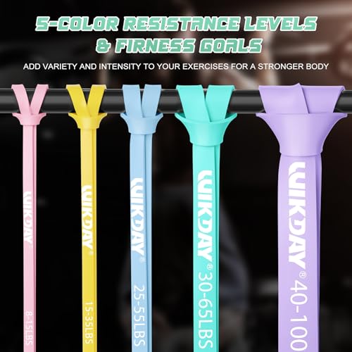 Resistance Bands for Working Out, Exercise Bands, Workout Bands, Pull Up Assistance Bands for Body Stretching Training Physical Therapy Muscle Training for Men & Women