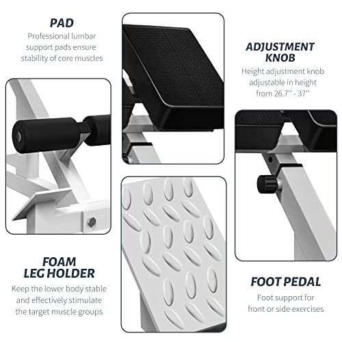 Roman Chair Back Extender - Angle & Height Dual Adjustable Hyperextension Bench for Home Gym - Adjustable Back Exercise Machine Fitness Equipment