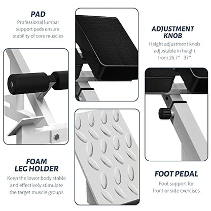 Roman Chair Back Extender - Angle & Height Dual Adjustable Hyperextension Bench for Home Gym - Adjustable Back Exercise Machine Fitness Equipment