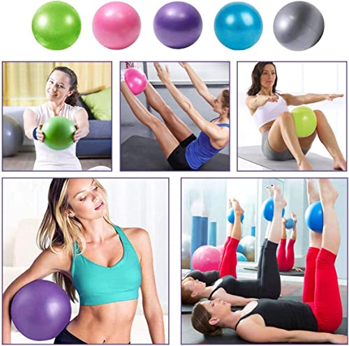sailupxinyuan Mini Pilates 6 inch Exercise Ball for Yoga,Small Pilates Core Training and Physical Therapy, Improves Balance Home & Gym & Office with Pump(Pink)